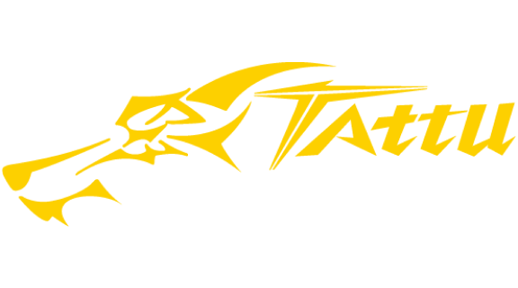 格式